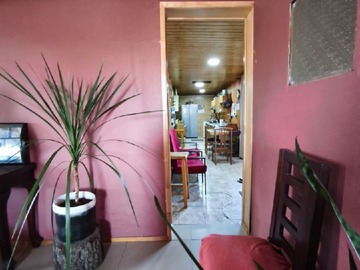 Imagen 13
