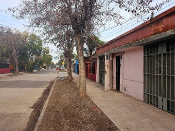 Imagen 15