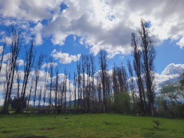 Imagen 11