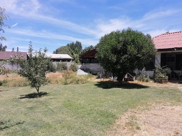 Imagen 12