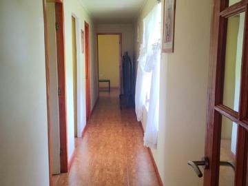 Imagen 15
