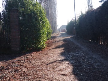 Imagen 14