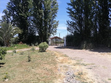 Venta / Casa / San Vicente de Tagua Tagua