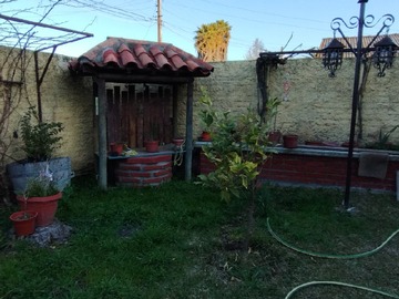 Imagen 6