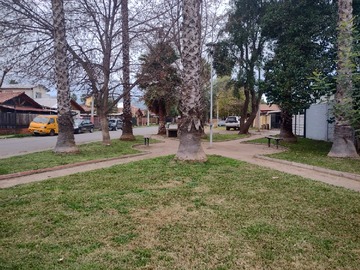 Imagen 14