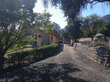 Imagen 8
