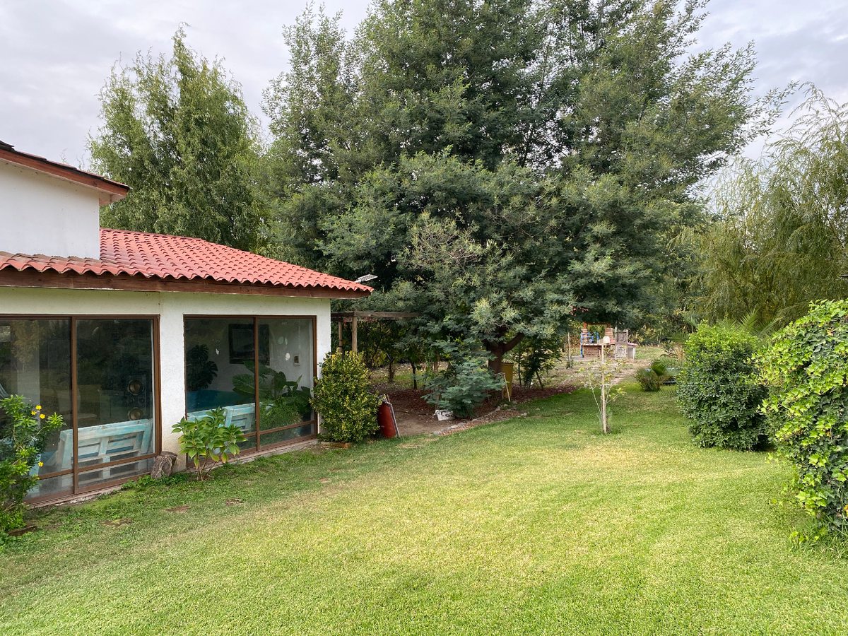 Patio Trasero
