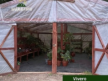 Imagen 16