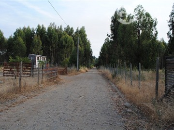 Imagen 5