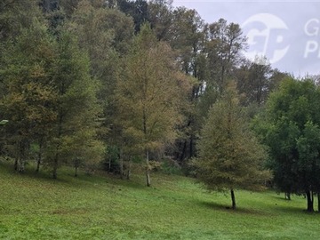 Imagen 25