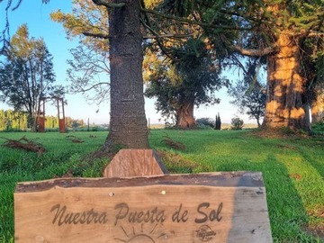 Imagen 23