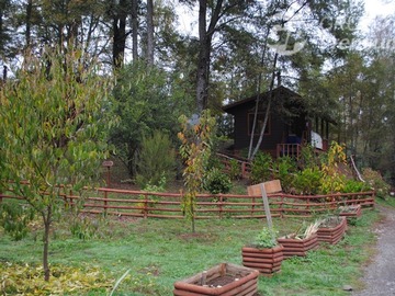 Imagen 7