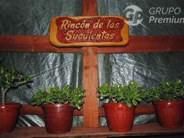 Imagen 31