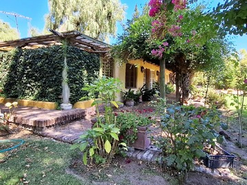 Imagen 9