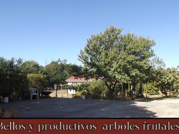 Imagen 10