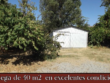 Imagen 11