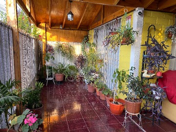 Imagen 15