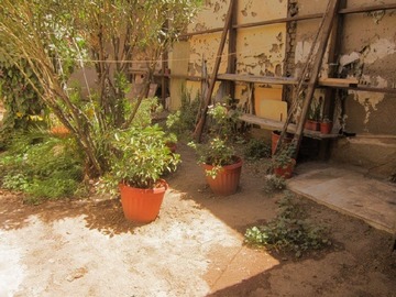 Imagen 26