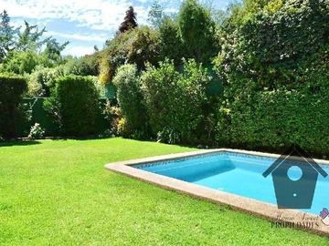 Imagen 6