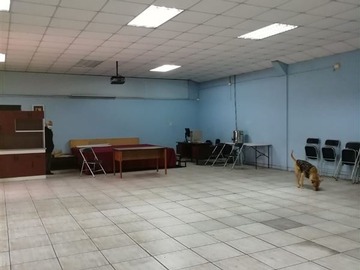 Imagen 8