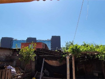 Imagen 7