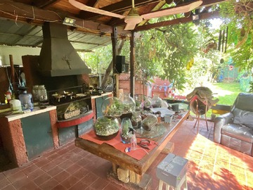 Imagen 13
