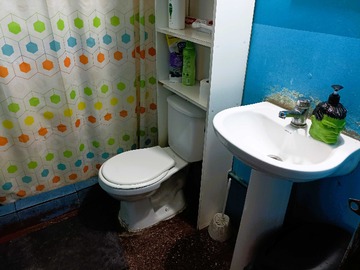 Imagen 11