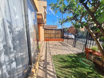 Imagen 5