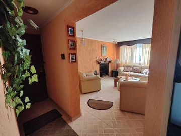 Imagen 15
