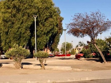 Imagen 18
