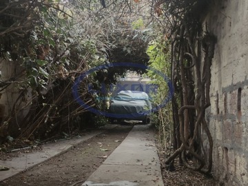 Imagen 11