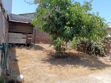 Imagen 18