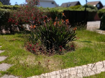 Imagen 26