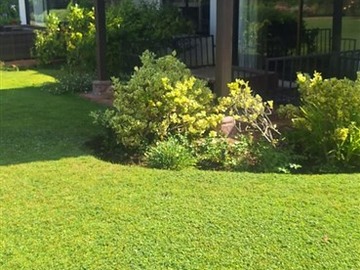 Imagen 5