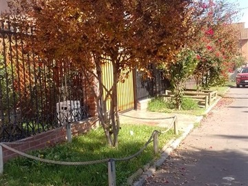 Imagen 12
