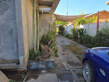 Imagen 7
