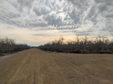 Camino interior parcelación