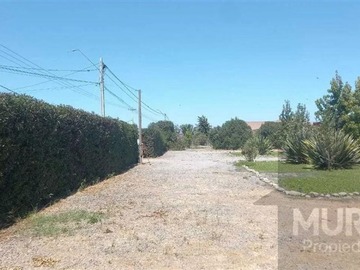 Imagen 20