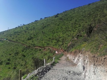 Imagen 12