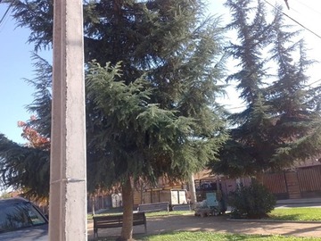 Imagen 14