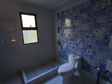 Imagen 12