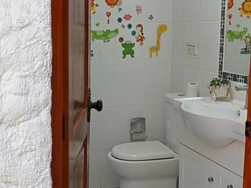 Imagen 19