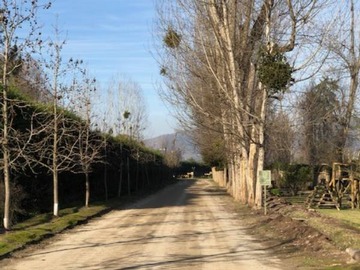 Imagen 19