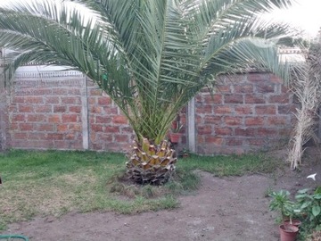 Imagen 20