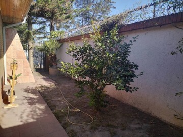 Imagen 16