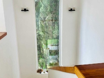 Imagen 10