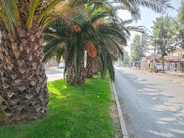 Imagen 7