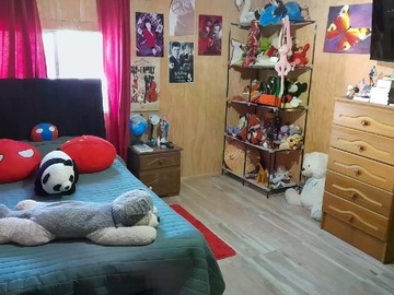 Imagen 5