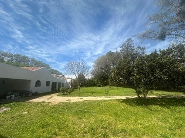 Imagen 11