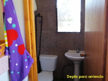 Imagen 15